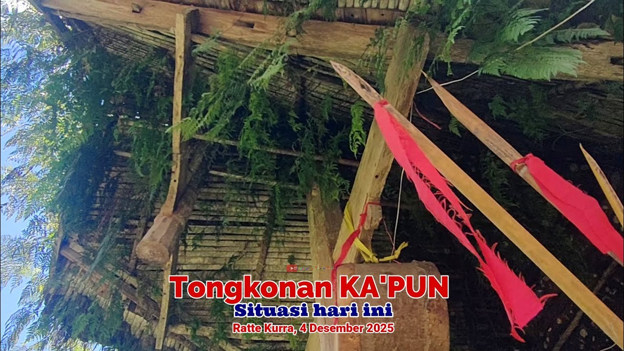 Tongkonan KA'PUN | Situasi hari ini