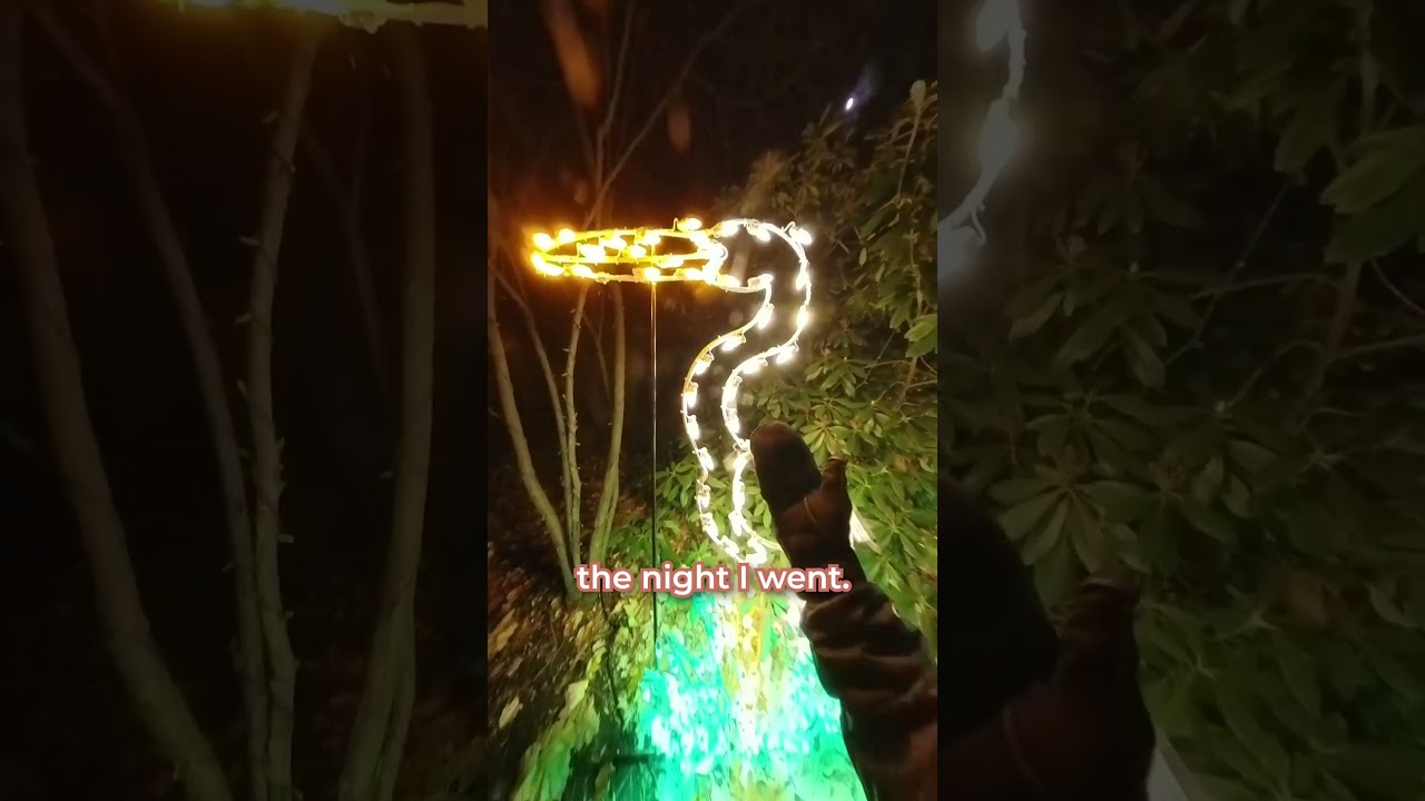 ✨ Bronx Zoo Holiday Lights ✨