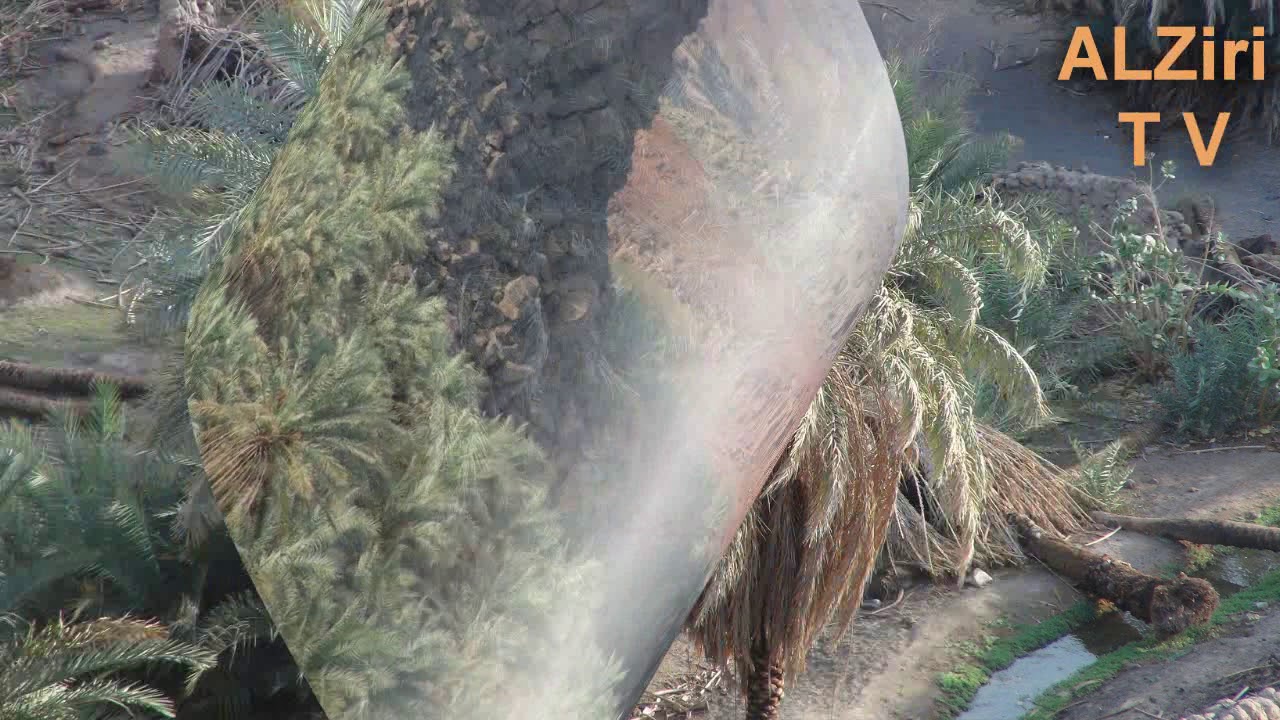 الفنان الراحل عبدالله عواد الزيري الخيبري