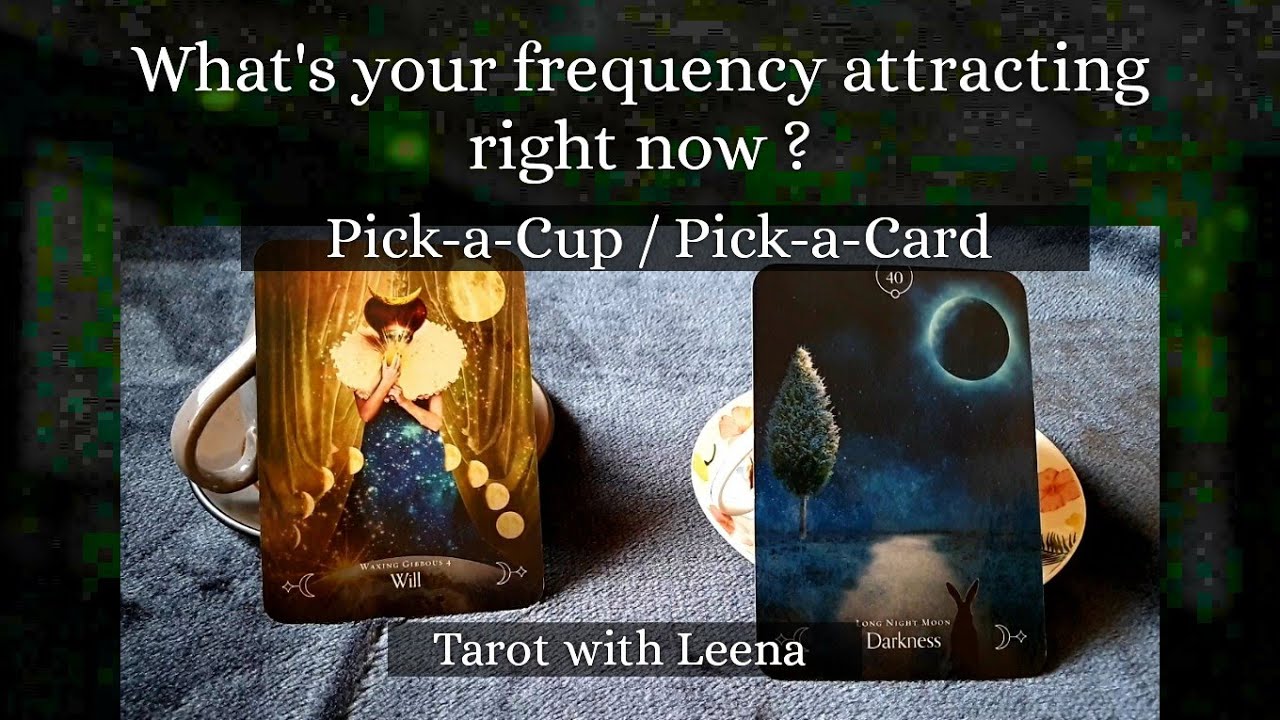 Coffee cup reading : What's your frequency attracting right now ? | Pick-a-Cup | Tarot with Leena