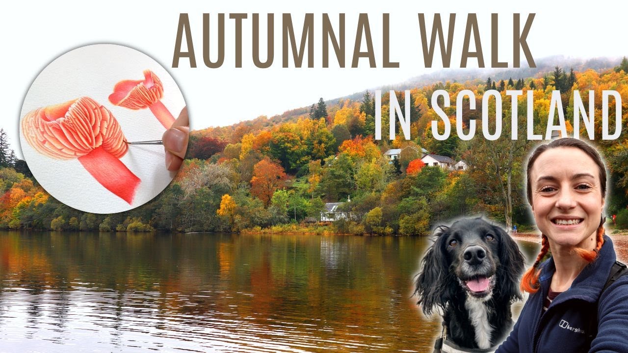 AUTUMNAL WALK IN SCOTLAND | Kenmore, Perthshire | Painting Waxcap Mushrooms in Watercolour | Ep40