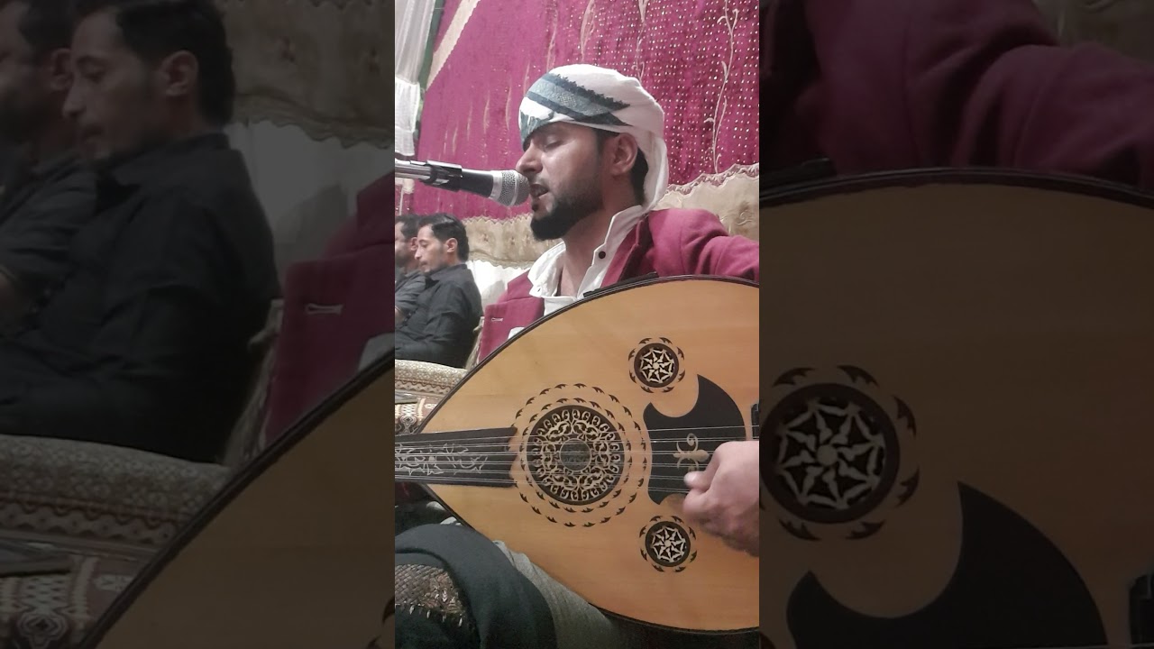 علي السيد اليافعي 💚(1)