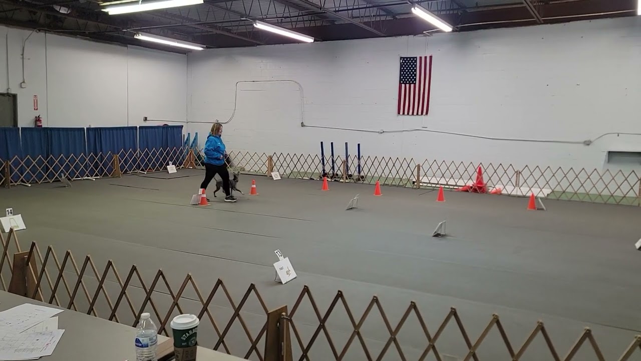 Maze's first cwags zoom rally run, perfect score and 1st place!