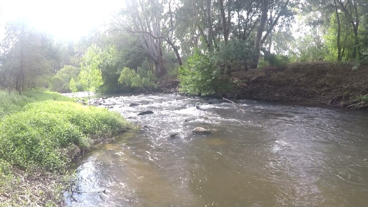 Australia Country bush walk/walking/hiking in Victoria rural city/visit/trip