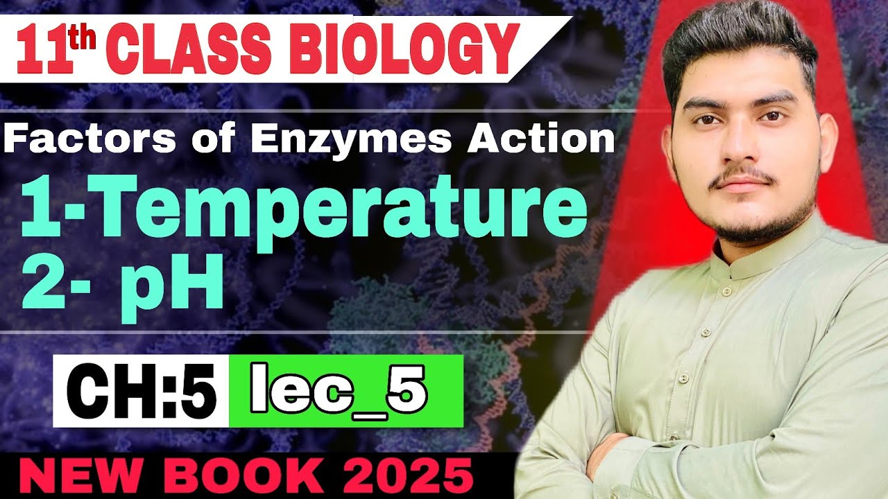 Factors of Enzymes action | Temp. & pH | ch:5  biology class 11 New book 