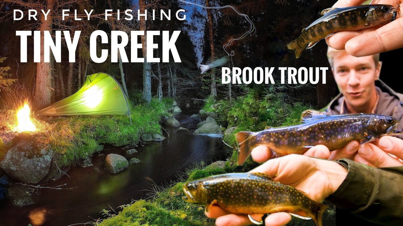 Tiny Creek Dry Fly Fishing / Overnight Camp