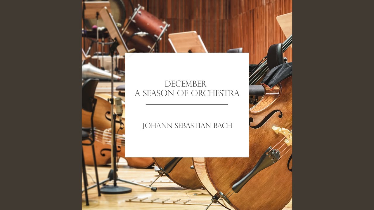J.S. Bach: Brandenburg Concerto No. 1 in F, BWV 1046: 2. Adagio