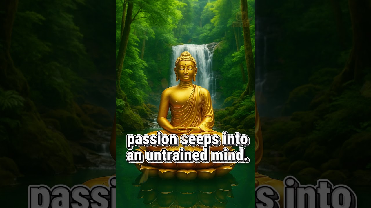 The Danger of an Untrained Mind