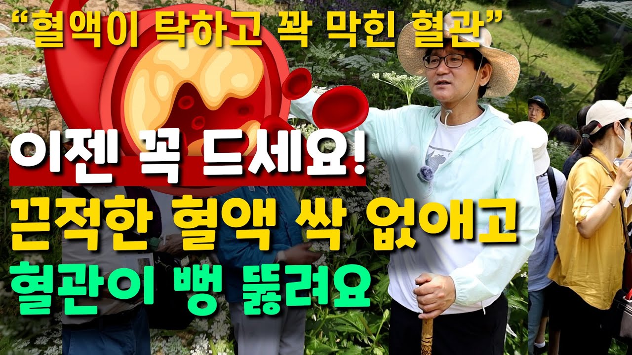 끈적한 혈액 싹 없애고 혈관이 뻥 뚫려요