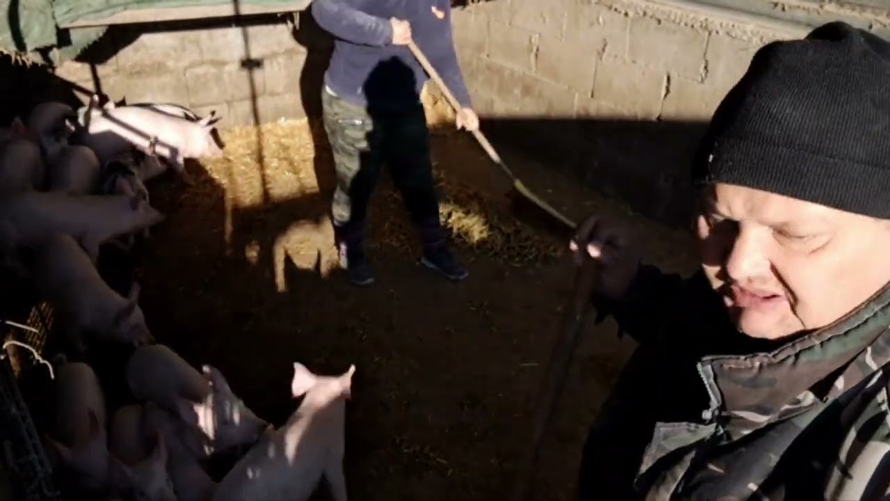 Állataink közt töltöttük a délelőttöt , délután meg kaptunk egy meglepi csomagot.