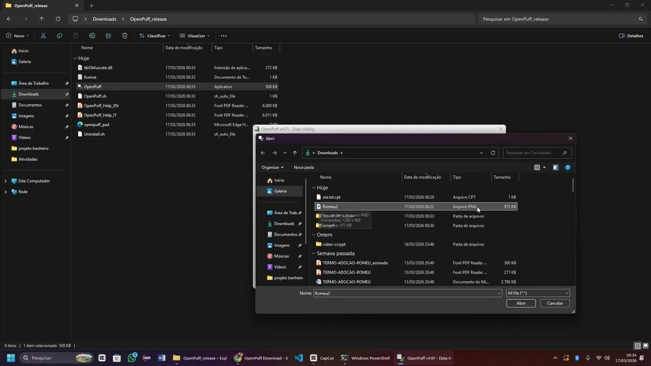 Como criptografar e ocultar arquivos com o Ccrypt e o Openpuff
