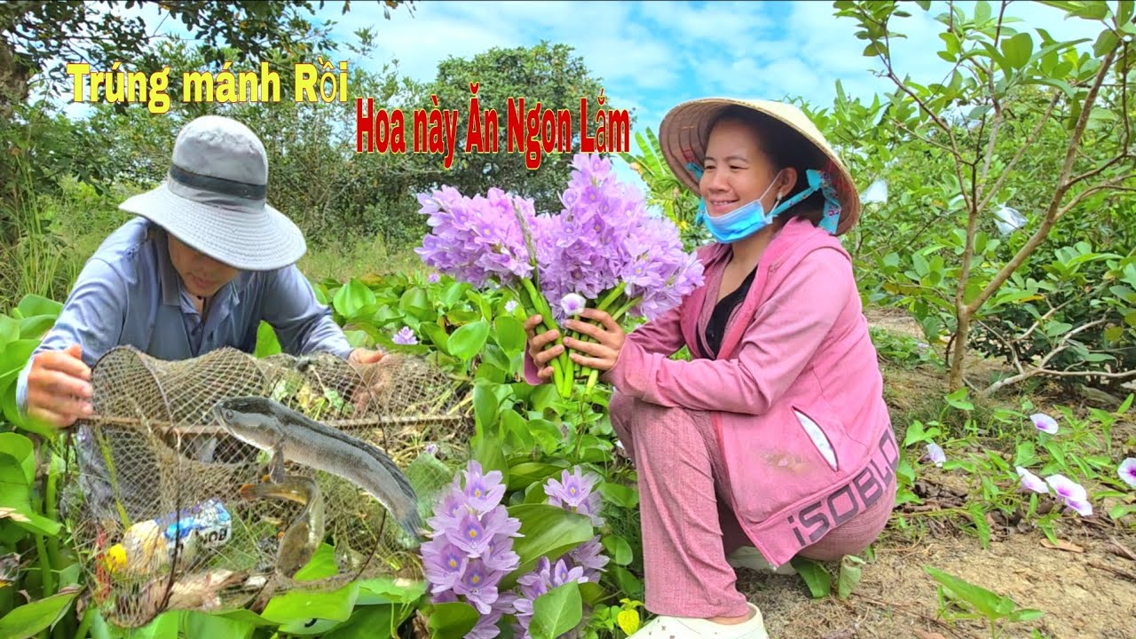 Lẩu Mắm Kho Miền Tây.Ăn Với Hoa Này Là Ngon Hết Sảy |NHMT