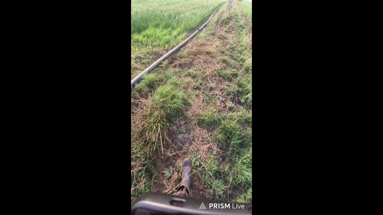 LIVE 🌾 | 8 વિઘા ખેતર માં ઘઉં ને બીજું પાણ શરૂ | Full Preparation Before 2nd Irrigation | Village