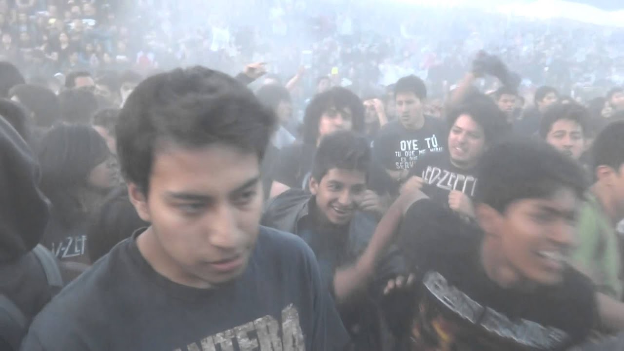 muscaria-soy un macarra- polifest 2014