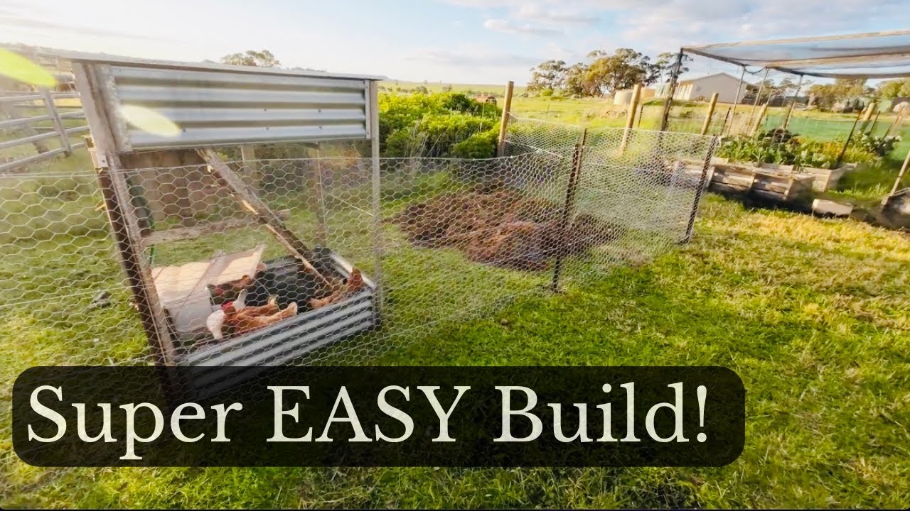 EASY 'how-to' DEEP LITTER Chicken run build | Doesn't stink | Create great compost for your garden