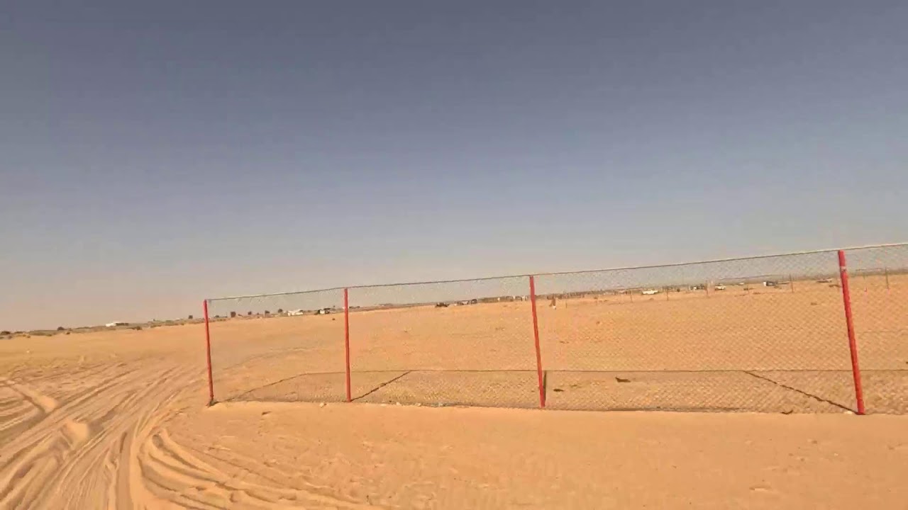مهرجان العلمين لسباق الهجن