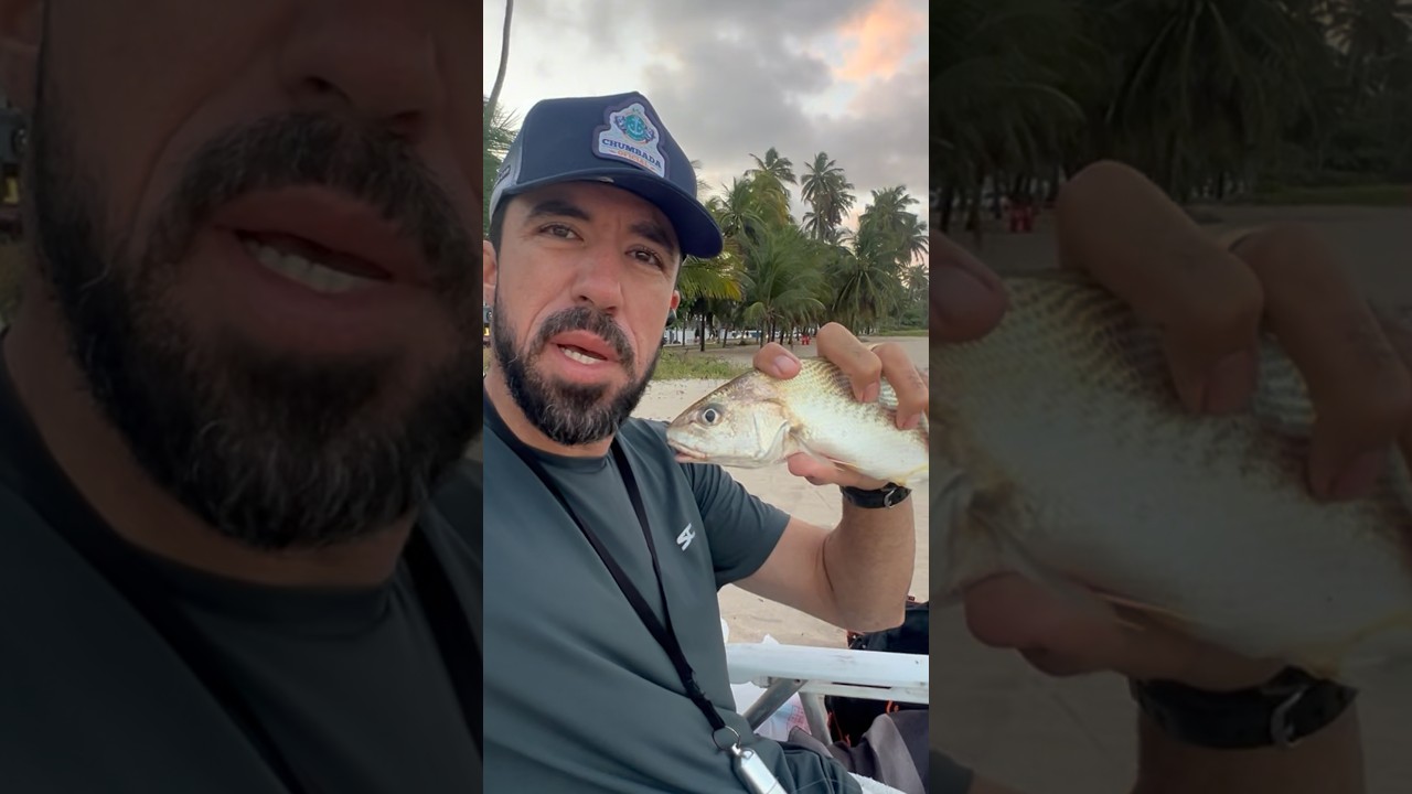 Como pescar corvinas no mar? Dica r&aacute;pida e eficiente #surfcasting #fishing #corvina