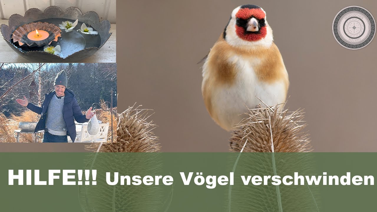 Vögel im Garten fördern, so fütterst du richtig, wunderschöne Osterdekoration, wie kannst DU helfen!