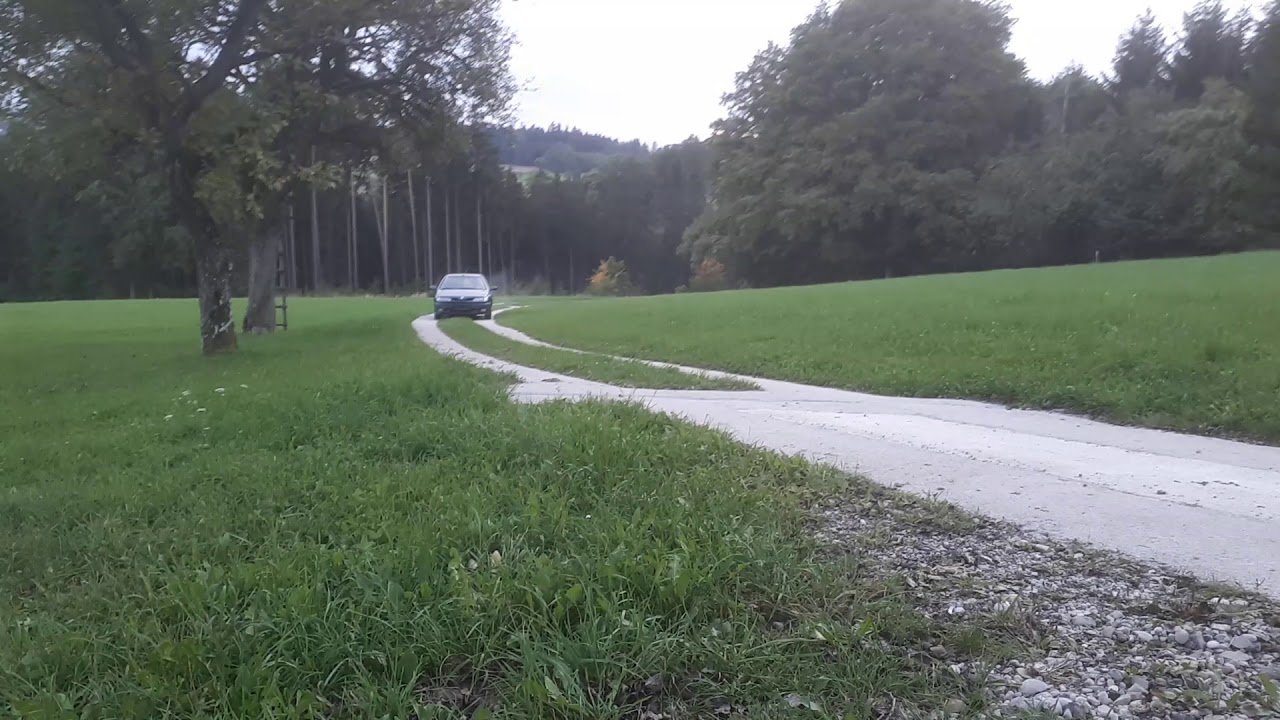 Auto am verrecken