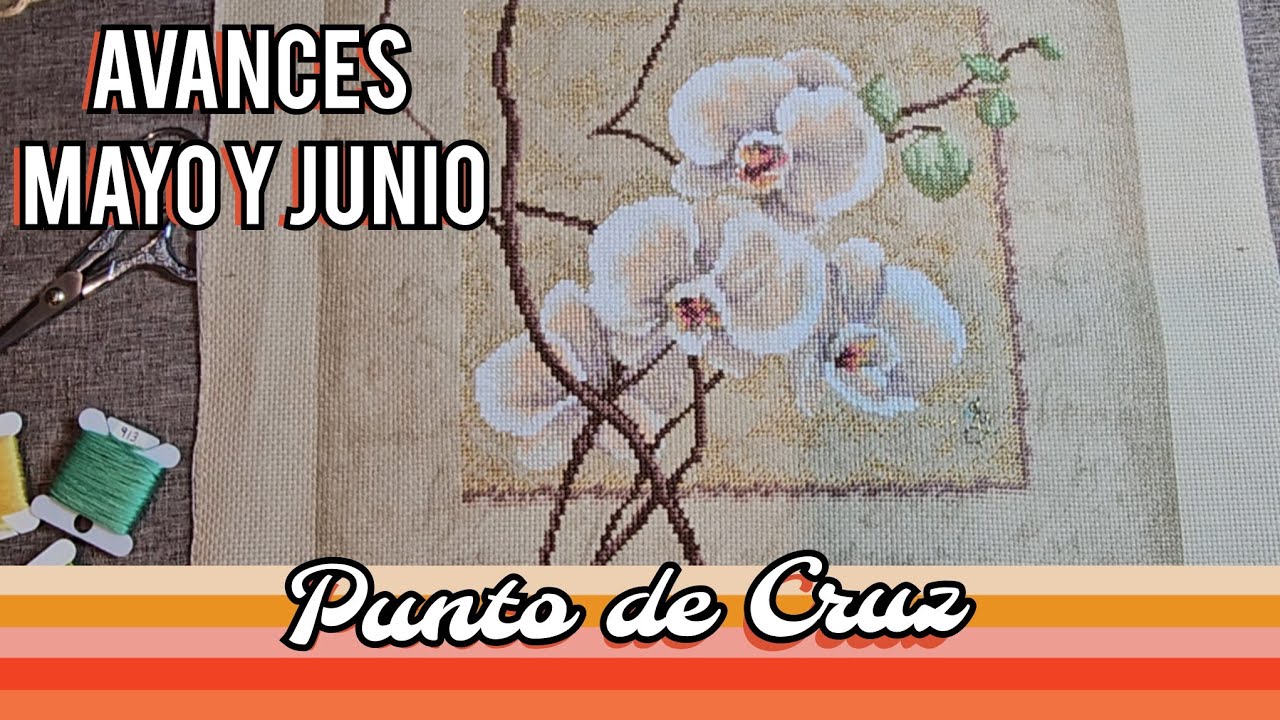 Avances Punto de Cruz Mayo y Junio