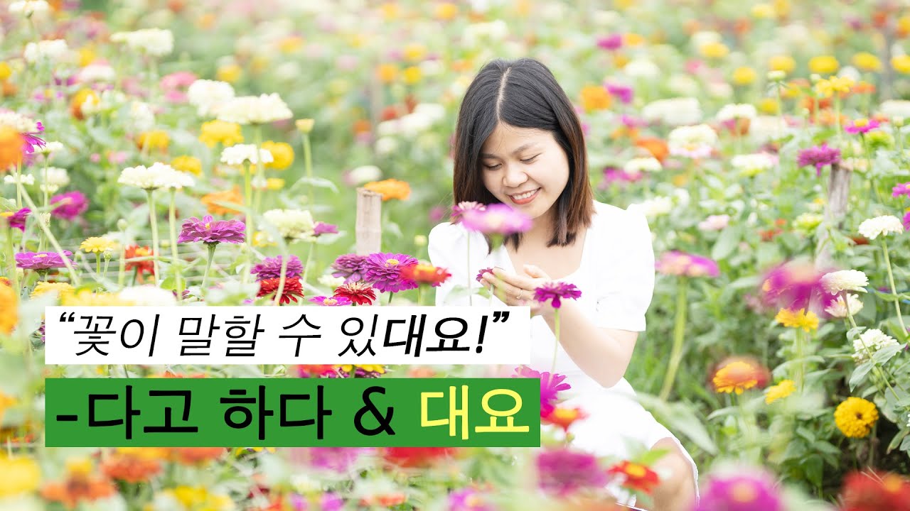 Trích dẫn câu trần thuật 다고 하다 và giải thích đuôi câu -대요 | Gia sư Tiếng Hàn Park HA