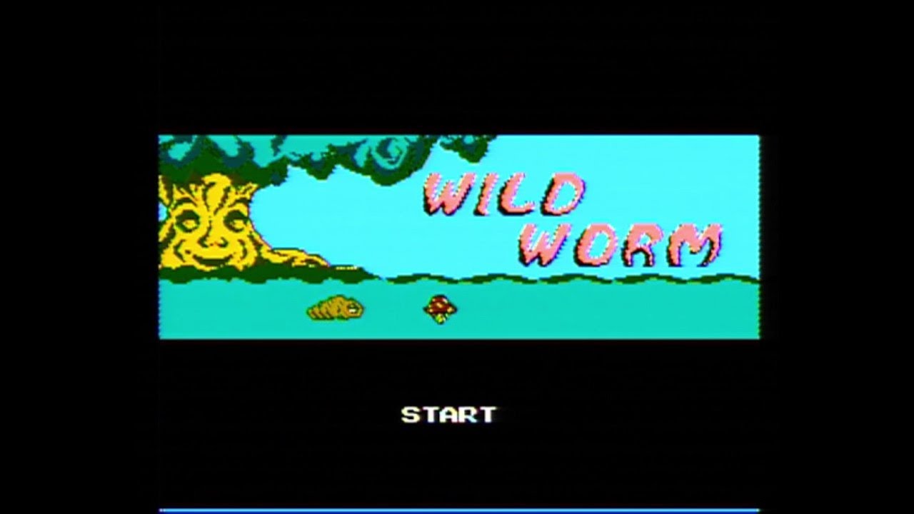 Wild Worm, famiclon, sup200 J0045