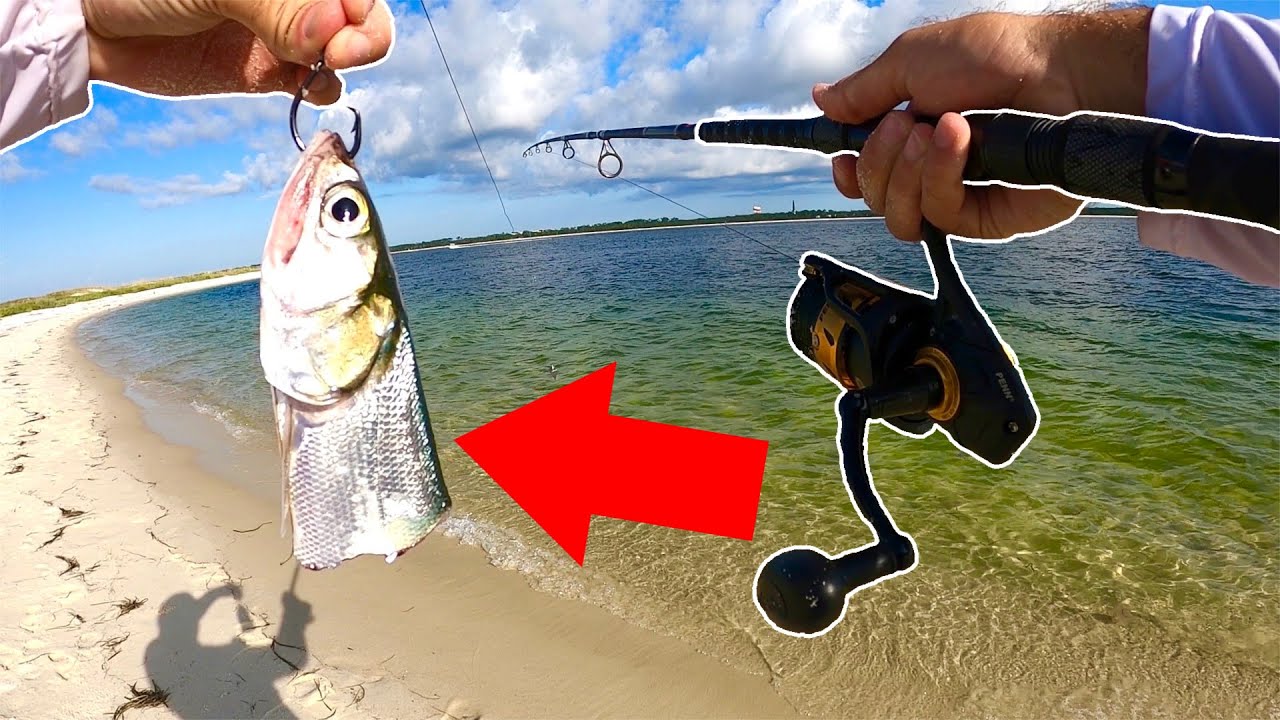 Unexpected BEACH MONSTER Destroys CUT BAIT