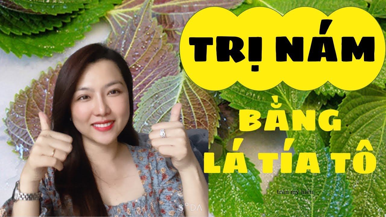 Trị nám bằng lá tía tô hiệu quả bất ngờ | TRẦN MỸ HIỀN trị nám , trị tàn nhang , trị thâm