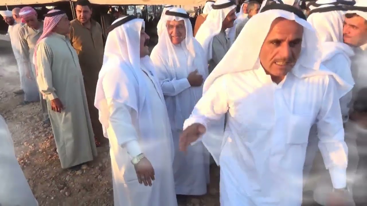 جديد من تسجيلات فيديو سامي زفاف ابن الشيخ صادق محمد شيخ بني عصيد مع كامل لاحترام والتقدير 💐🤍