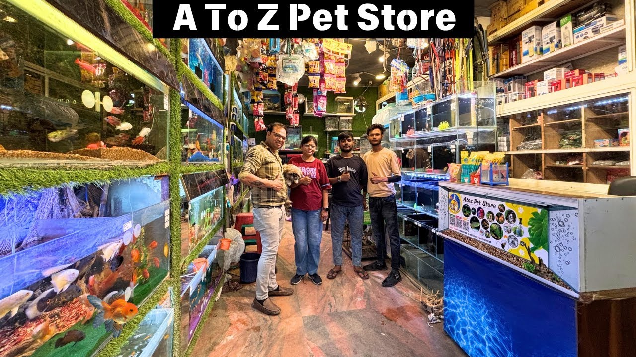 A to Z Pet Shop Cheapest Fish Shop In Delhi | Aquarium Fish Price Update | Low Price Aquarium Fish
