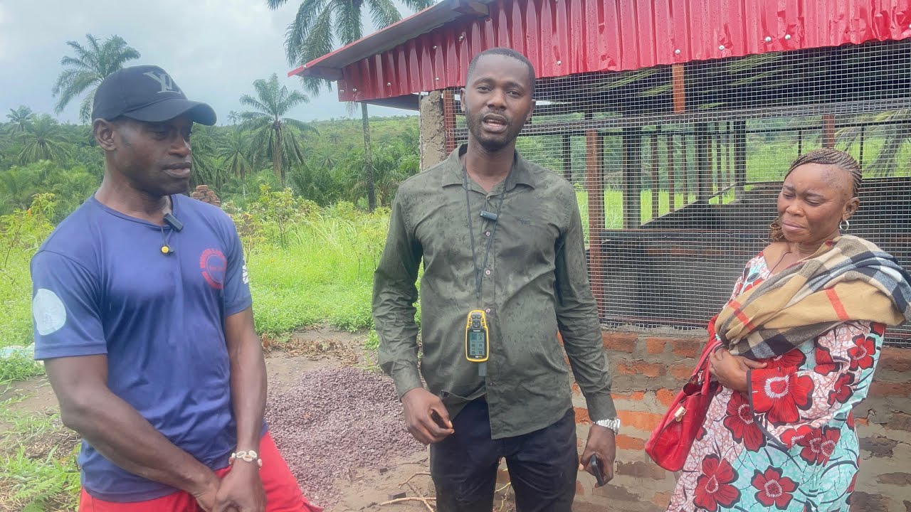 Ferme nzau  ( agriculture, élevage, pisciculture )  a kasangulu (Kongo centrale )