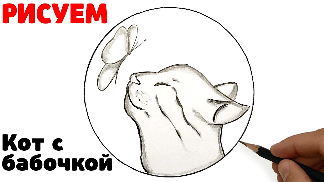 Скетч карандашом | Как нарисовать Кота с Бабочкой | Рисунки Юльки для скетчбука