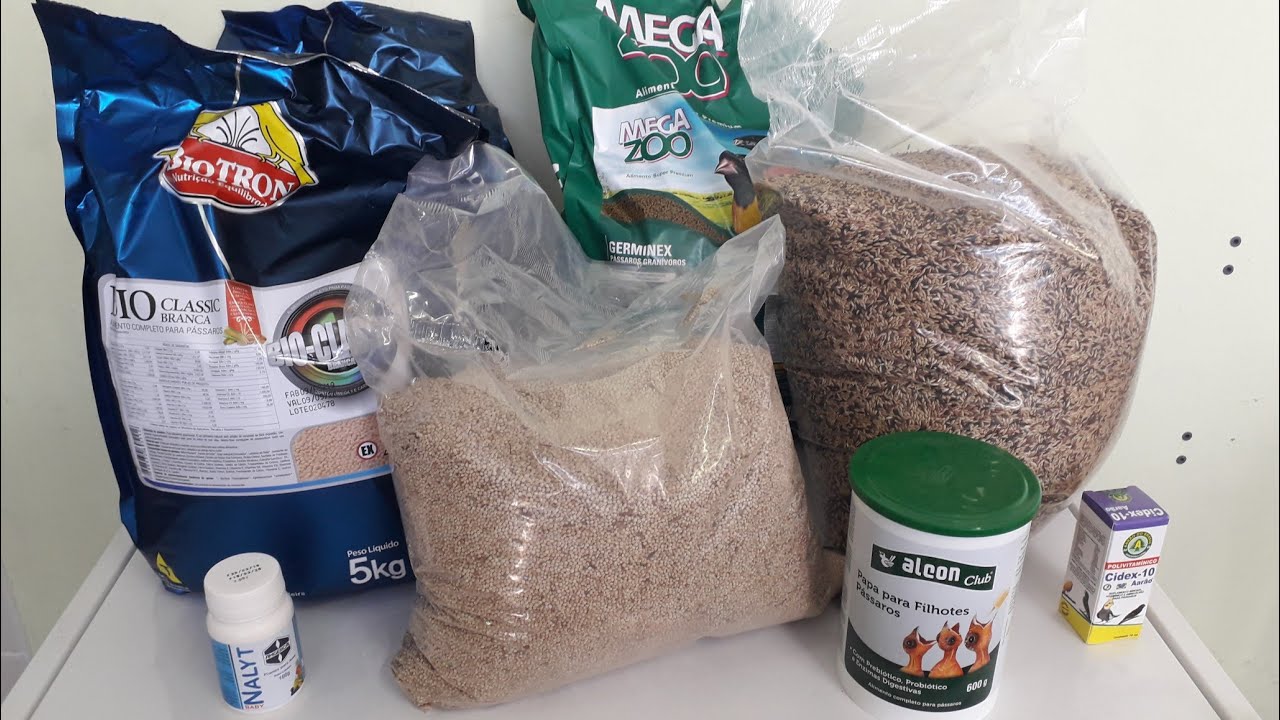 ALIMENTAÇÃO DO PERÍODO DE REPRODUÇÃO DOS CANÁRIOS VERMELHO MOSAICO