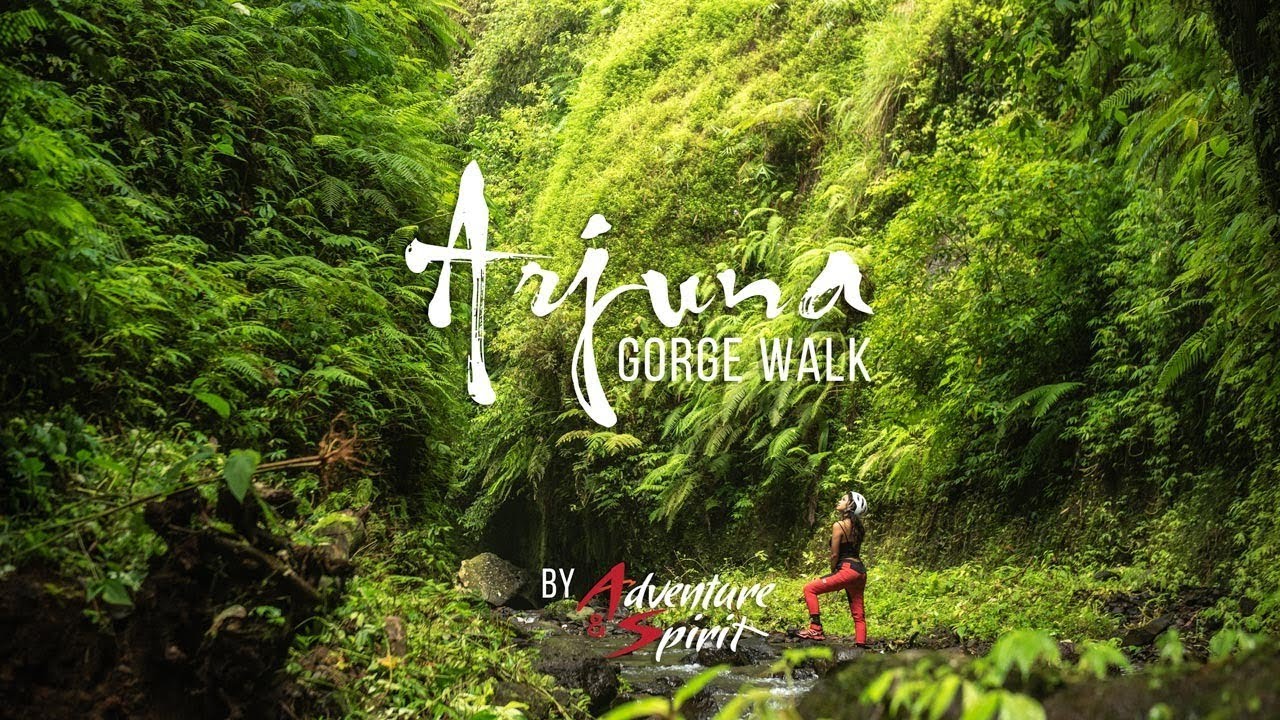 Arjuna Gorge - Bali breathtaking, river tracing and Gorge walking , By Adventure and Spirit