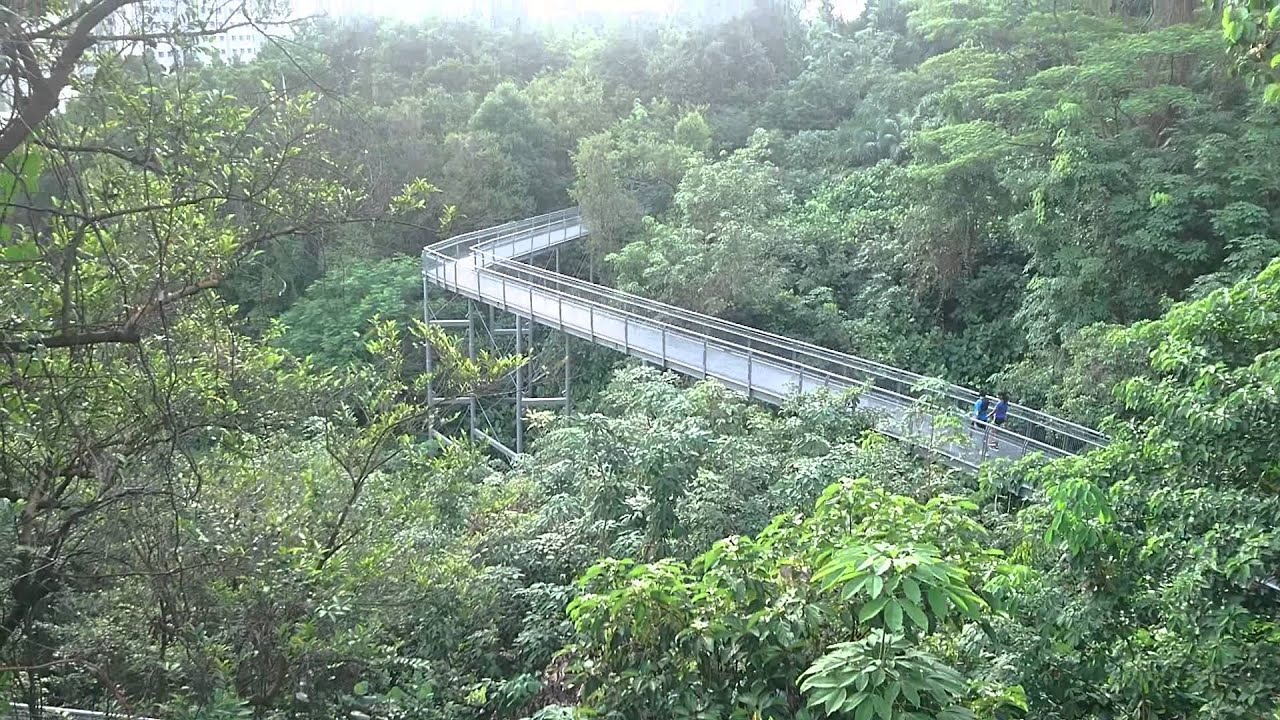 Singapore, Southern Ridges, Forest Walk | Sony Xperia Z5