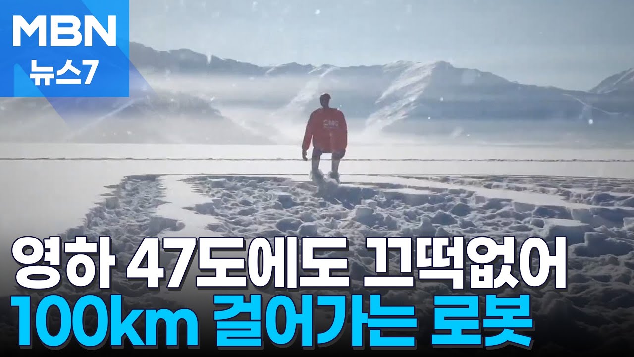 영하 47도 눈밭에서 13만 보 걸은 로봇…인도네시아에 9천 평짜리 싱크홀 [MBN 뉴스7]