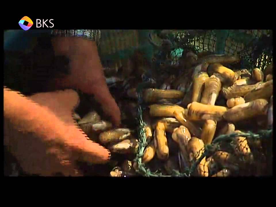 百科卫视 中国好地方-40-连江风味