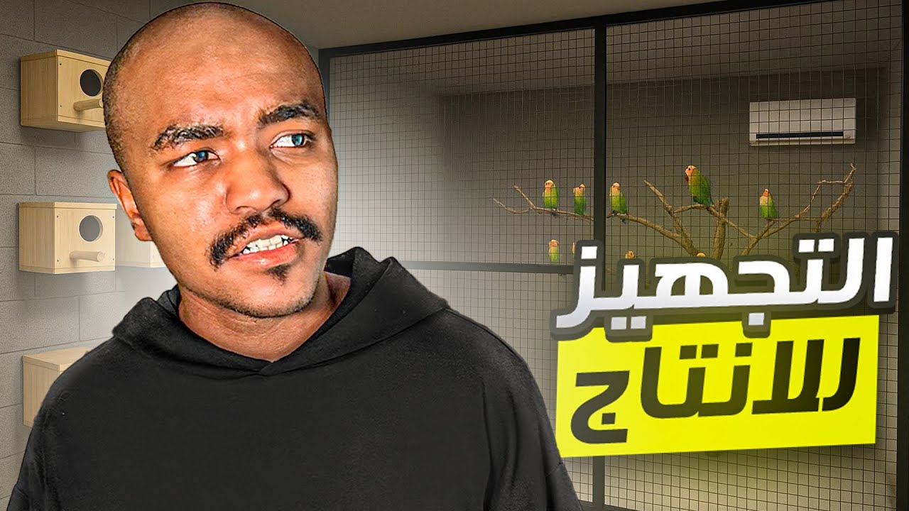وقت الانتاج من الببغاوات في المطير الجماعي😍🦜