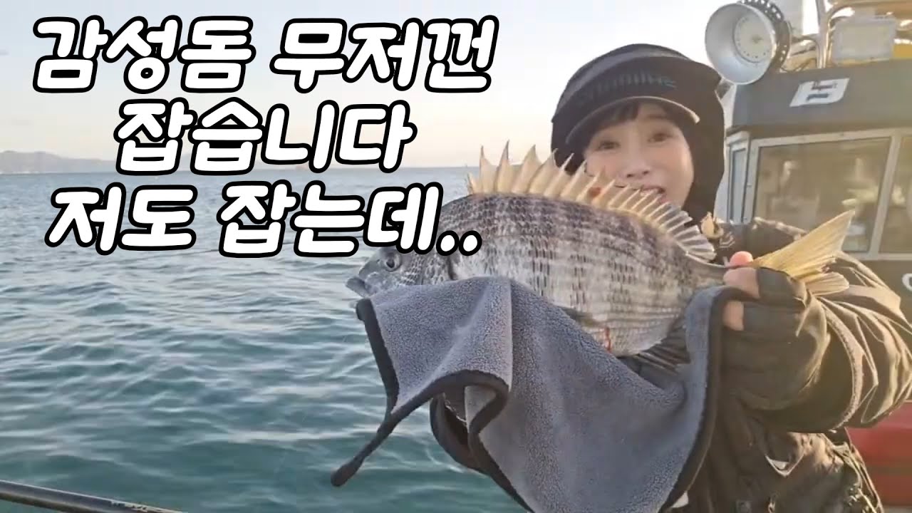 지금 여기가면 감성돔 잡을 수 있어요! 부산 가덕 선상낚시가서 손맛보고 회맛도 보고!