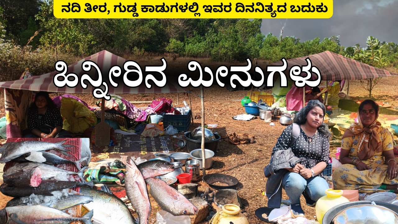 ಈ ಬದುಕು ಸುಲಭವಲ್ಲ|ಅಲೆಮಾರಿಗಳ ನಿಗೂಡ ಲೋಕ !ಇವರ ಅಸಲಿ ಬದುಕು ಹೇಗಿದೆ ನೋಡಿ......