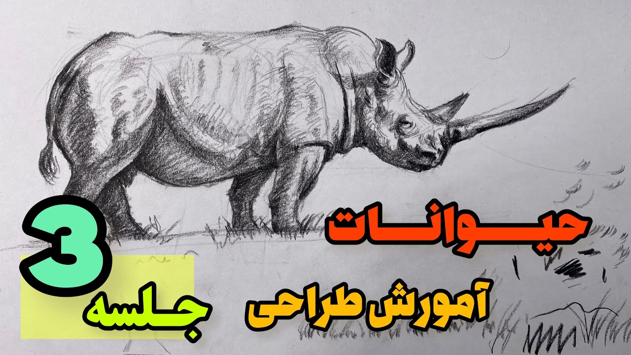 اموزش طراحی حیوانات| جلسه ۳