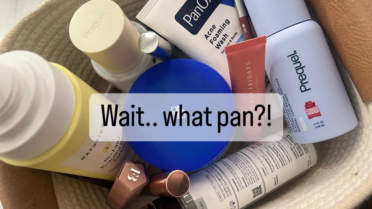 Project Pan update 1