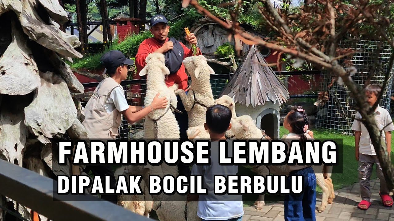 Niat Kasih Makan Malah DISERBU! | Liburan Seru di Farmhouse Lembang