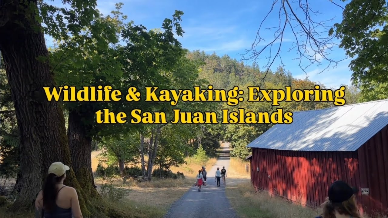 Kayaking with LEAPING Salmon (San Juan Islands, WA)