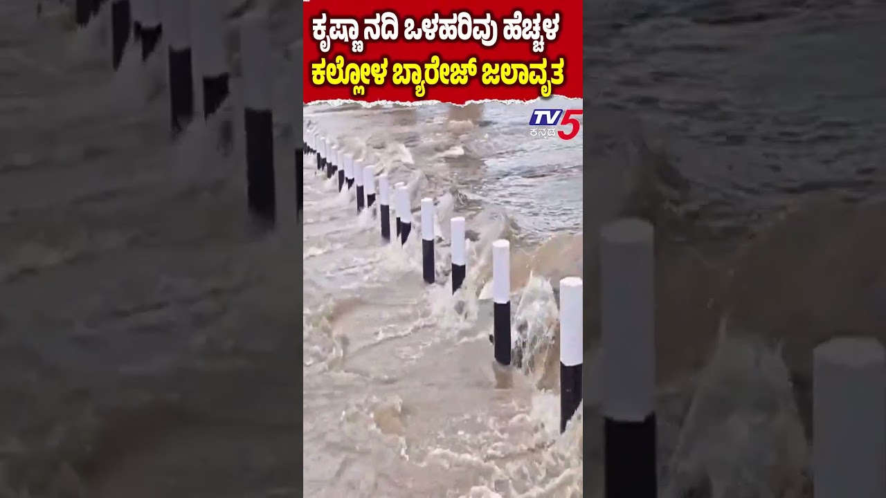 Flood Alert in Belagavi | ಕಲ್ಲೋಳ ಬ್ಯಾರೇಜ್ ಸಂಪೂರ್ಣ​​ ಜಲಾವೃತ   | Krishna,VedgangaRivers Overflow