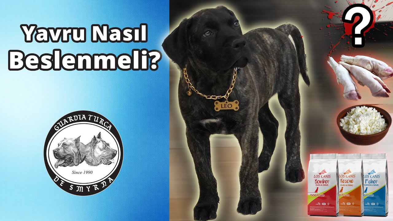 Yavru Nasıl Beslenmeli?