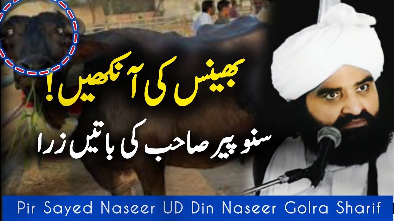Pir Naseeruddin Naseer Best Speech