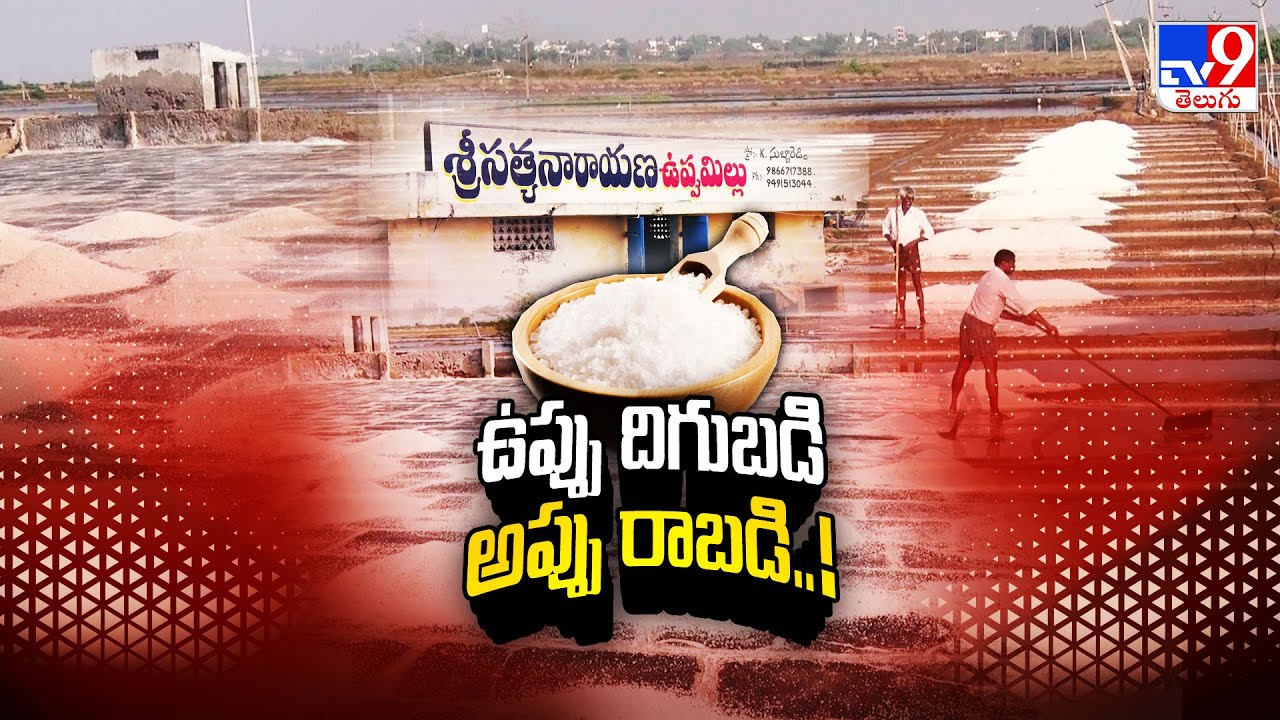 Prakasam : ఉప్పు దిగుబడి.. అప్పు రాబడి.! - TV9