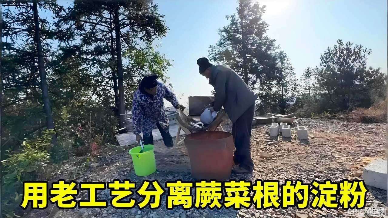 我们用老工艺，把蕨菜根的淀粉分离出来了，看完涨见识！【乡野志刚】