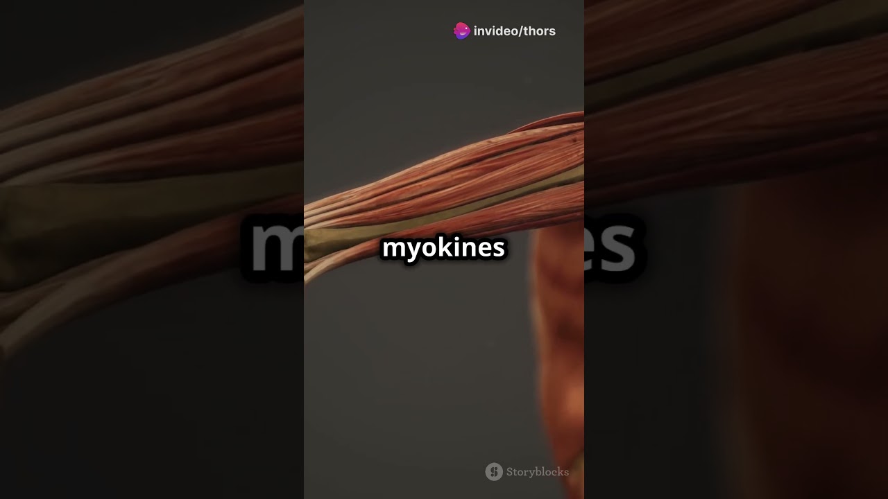 Myokines Magic _ A quick animated Message!   #motivation #moodenhancement #body #facts #brain